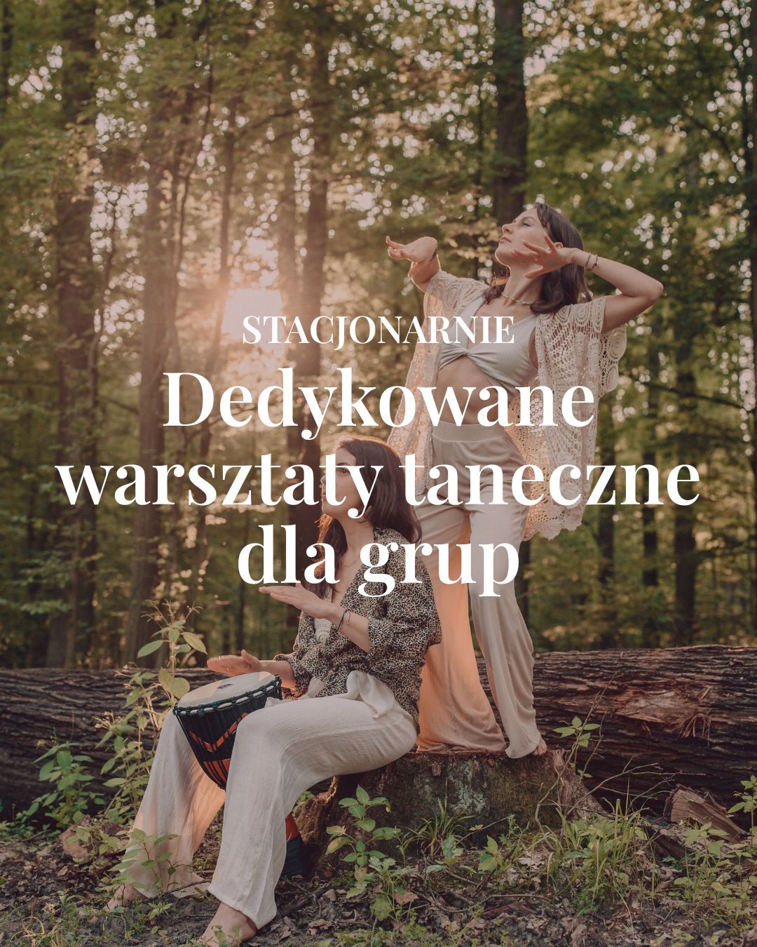 Oferta — zapraszam do współpracy
